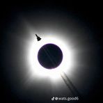 Gavin Peterson - Facebook