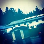 Gavin Peterson - @gavinpeterson7334 - Instagram