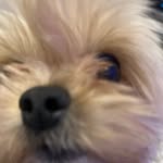 Gavin - @gavin_pham6969 - Instagram
