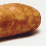 Gavin Pham - @potato13927 - Instagram