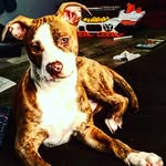Gavin - @gavin_pickett21 - Instagram