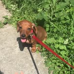 Gavin Pickett - @gavin_pickett13 - Instagram