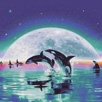Gavin Pierce - @_gavin_pierce_ - Instagram