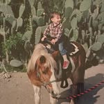Gavin Pike - @pikehunting - Instagram