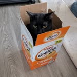 Gavin - @gavinpittson - Instagram