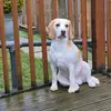 Gavin Pitts - @gavin.pitts - TikTok