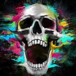 Gavin Poole - @agaracamryn_1_2_1 - Instagram