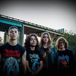 Gavin Pope - @thegavinpope - Instagram