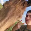 Gavin Pope - @gavin.pope - TikTok