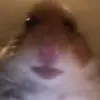 Gavin Potts - @gavinpotts42 - TikTok