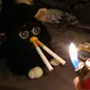 Gavin D - @gavin.dupriest - TikTok