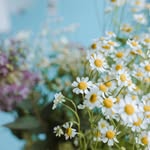 Gavin Priest - @gavin11priest - Instagram