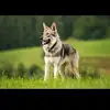 Gavin Pullins 1960 - @gavin.pullins.196 - TikTok