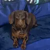 Gavin Randall - @gavin.randall3 - TikTok