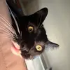 Gavin Ray - @gavin.ray67 - TikTok