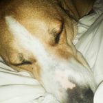 Gavin Ray Tremper - @gavinraytremper - Instagram