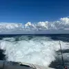 gavin.ray15_ - @gavin.ray15_ - TikTok