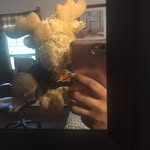 Gavin raymond - @gavinxraymond62 - Instagram