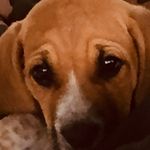 Gavin Reeves - @gavinreeves2 - Instagram