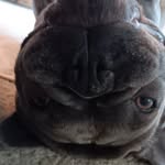 Gavin Reeves - @gavinreeves0 - Instagram
