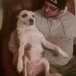 Gavin Rhodes - @gavin.rhodes.144 - Instagram