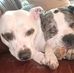 Gavin Rhodes - Facebook