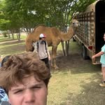 Gavin Rhodes - @_gavin.rhodes_ - Instagram