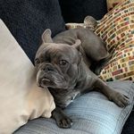 Gavin Richardson - @gavin.richardson03 - Instagram