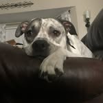 Gavin Riddle - @riddlegv_768 - Instagram