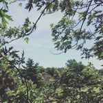 Gavin Rivera - @gavin.rivera00 - Instagram