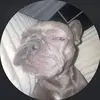 gavin - @_gavinroach_ - TikTok