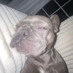 gavin - @gavin_roach22 - Instagram