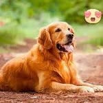 Gavin rohrssen - @awesomegavinrohrssen - Instagram