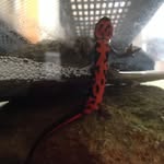 Gavin - @gavin_rollins - Instagram