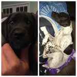 Gavin Rood - @gavinrood - Instagram