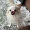 Gavin - @g.rosenthal - TikTok