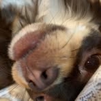 Gavin Rosenthal - Facebook