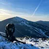 Gavin - @gavin.rowe - TikTok