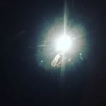 Gavin Rowe - @gavin_rowe_12 - Instagram