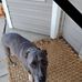 Gavin Rowe - Facebook