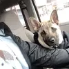 gavinrubio83 - @gavinrubio83 - TikTok
