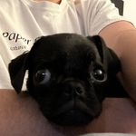 Gavin Ruiz - @gavin.ruiz.39 - Instagram