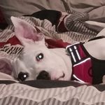 Gavin rush - @gavinrush16 - Instagram