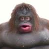 Gavin Salisbury - @gavinsalisbury - TikTok