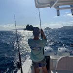 Gavin Santos - @transient.whale - Instagram
