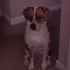 Gavin Schaefer - @gavin_schaefer - TikTok