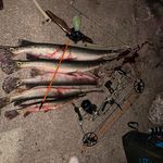 Gavin Schultz - @gavin_schultz0 - Instagram