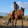 Gavin Schultz - @nachoschultz - TikTok
