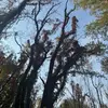 gavin.schultz 🇫🇷🇸🇾 - @gavin.sch20 - TikTok