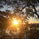 Gavin - @gavinschulze - Instagram